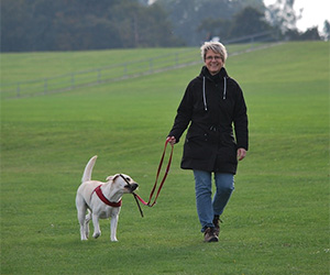 physical exercise helps fight doggy boredom