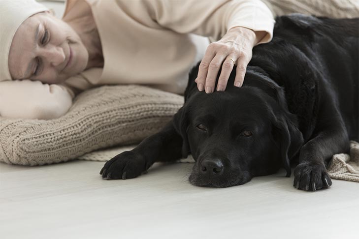 Caring for your Chronically Ill Pet
